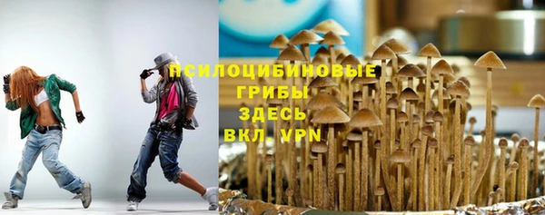 меф Алексин