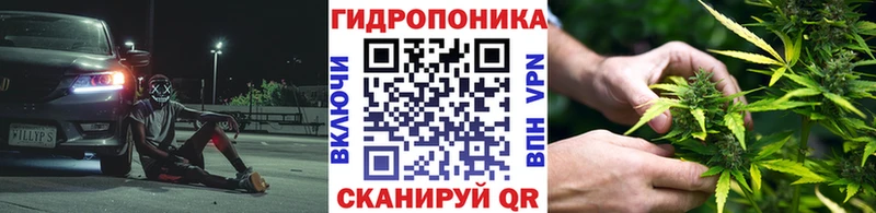 Конопля планчик Дмитров